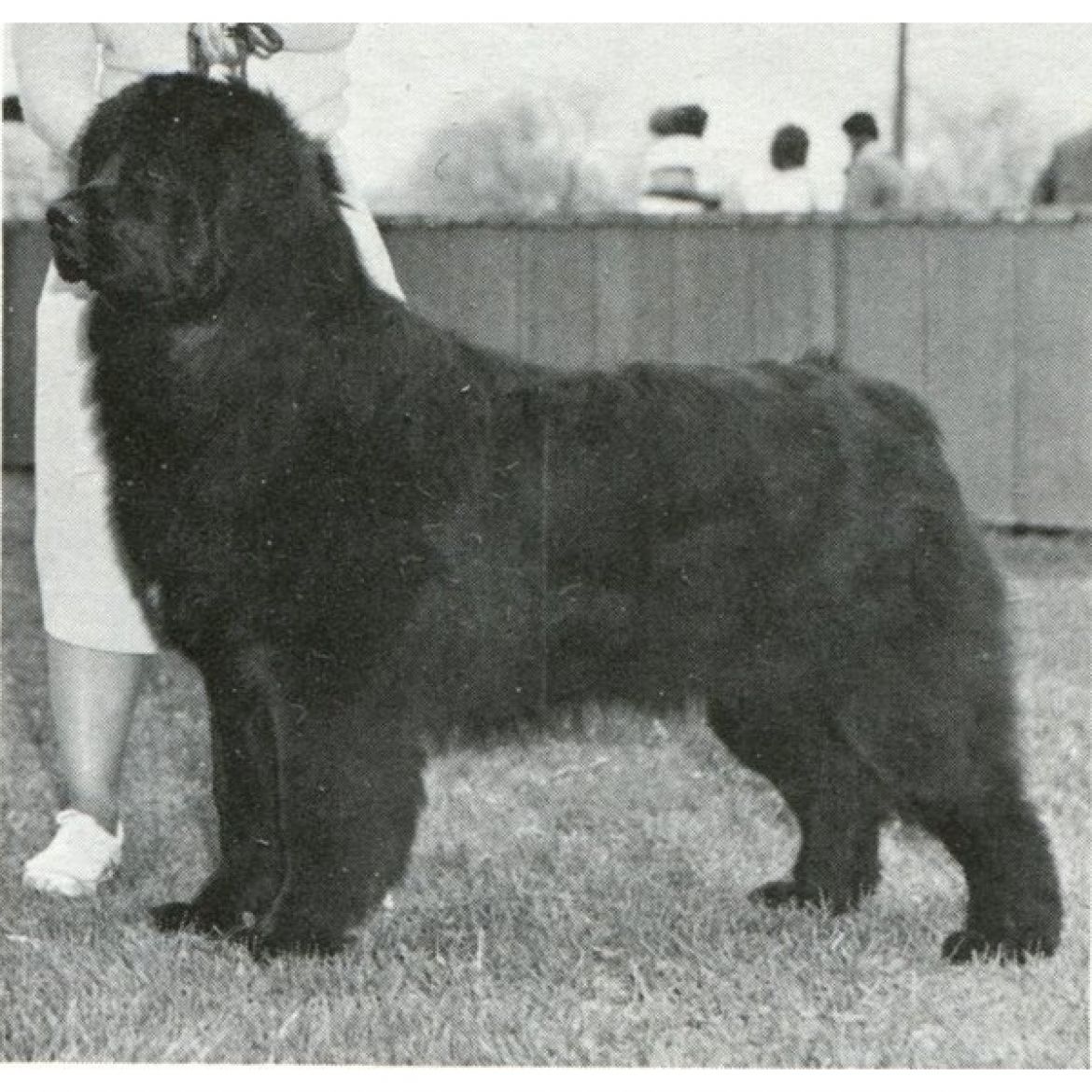 R Bulkhead Trapper of Bethward (26-11-1981)
